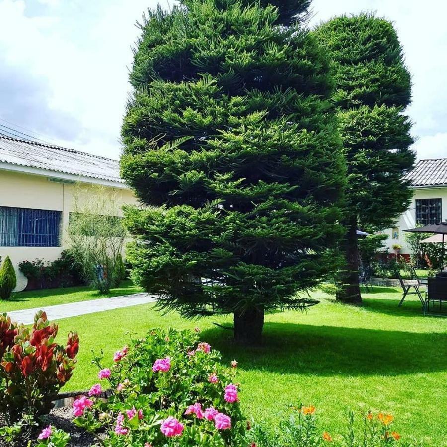 חוארז Hotel Colomba מראה חיצוני תמונה